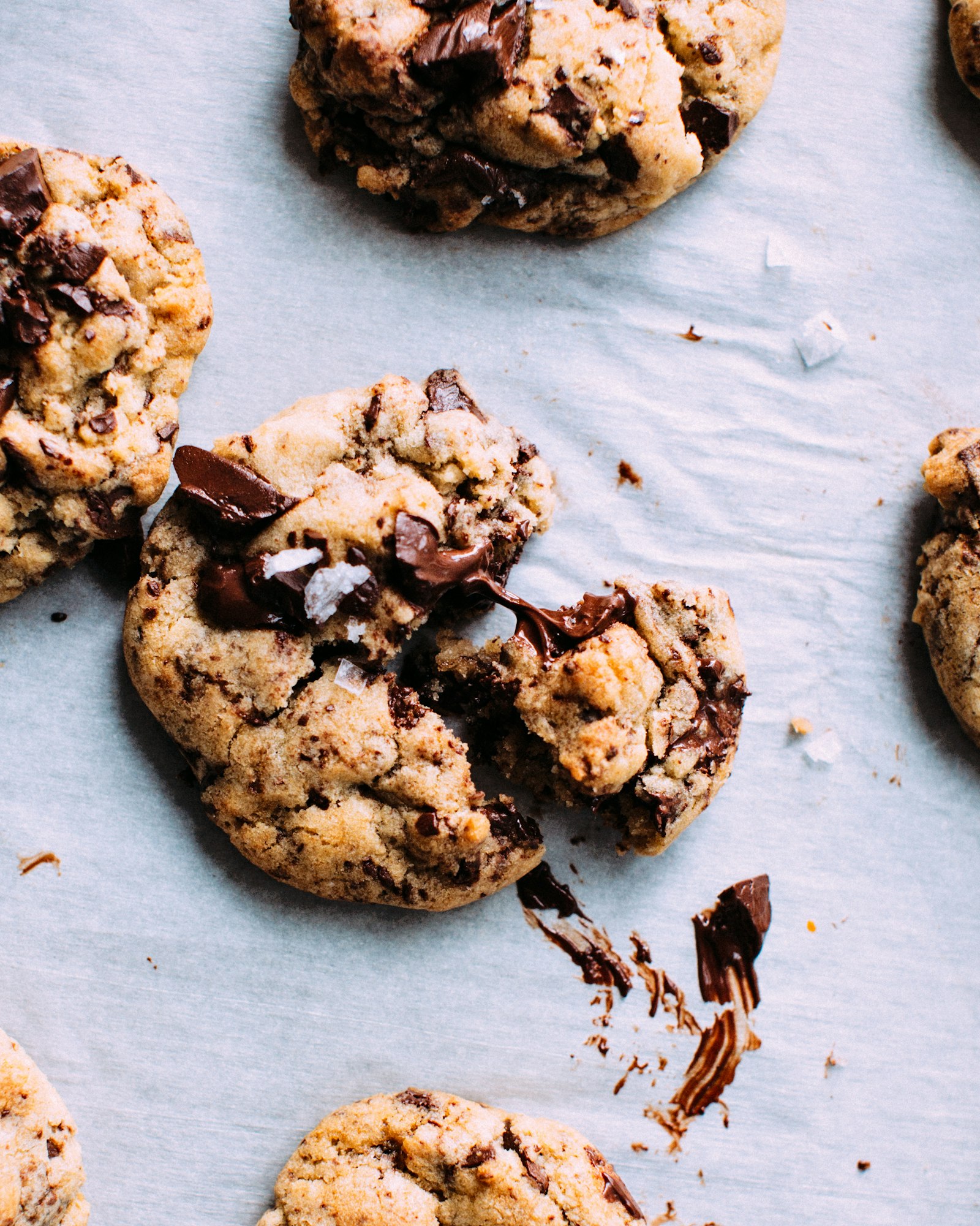 A tray of chocolate chip cookies on parchment.